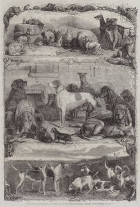 ホルボーン、動物賞、馬の貯蔵所でのスポーツと他の犬の展示
