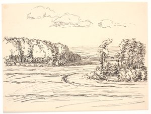 野原と牧草地の周りには大きな森が広がっています 作： Fritz Syberg