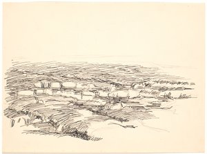湿原景観の研究 作： Fritz Syberg