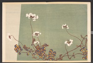 写生草花模様 生命の草花文様 作： Furuya Korin