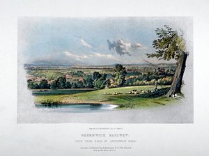 グリニッジ道路の裏から見たロンドン・アンド・グリニッジ鉄道の眺め、1836 年 作： GF Bragg