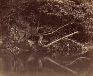 ニースの谷の川岸、c。 1855年。 作： G. B. Gething