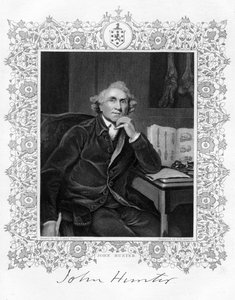 ジョンハンター1728年-1793年、スコットランドの外科医、19世紀。 作： G. H. Adcock