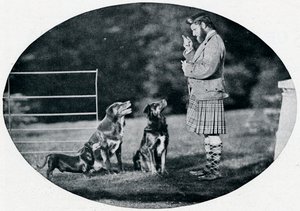 フランシスクラーク氏、クイーンズギリー、お気に入りの犬3匹、c1899、1901 作： G. W. Wilson and Company