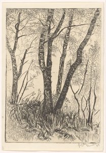背の高い草の木 作： G. van der Mey (signed by artist)