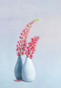  作： 