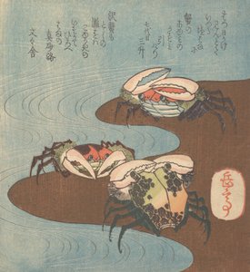 水辺のカニ、カリフォルニア州。 1830年。
