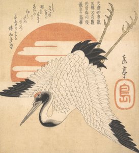 太陽の円盤を横切る白鶴、1835年。