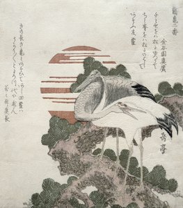 鶴（鶴）シリーズ2の鶴と亀のデザイン、1818-30（木版彫刻） 作： Gakutei Harunobu