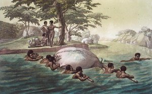 ジュール・フェラリオ著「Le Costume Ancien et Moderne」（1820年代〜30年代に出版）のプレート67「Gingri Tribesmen Crossing the River Zebee」（カラーリトグラフ）。 作： Gallo Gallina
