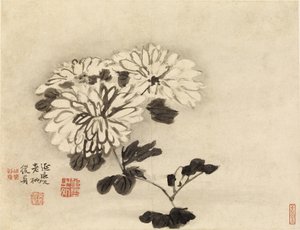 菊 作： Gao Qipei