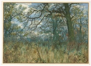 木と下草 作： Garden William Fraser