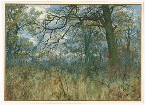 樹木と下草、1885年。 作： Garden William Fraser