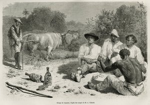 1878年から1879年にかけて、フランス海軍の医師ジュール・クレヴォーが『Tour du mon』誌に掲載した『De Cayenne aux Andes』の物語を説明するために、G.Vuillierが描いた絵をもとにしたエングレーヴィング。 作： Gaston Vuillier