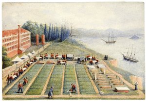 1855年4月、スクタリ総合病院の埋葬地 作： General E.W. Wray