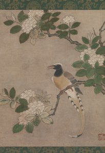 ガマズミ属の木の枝のカササギ、16 世紀初頭。 作： Genga