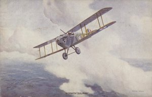 Sopwith Dolphin 戦闘機 (カラーリソ) 作： Geoffrey (after) Watson