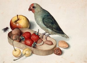 ドワーフオウムのある静物 作： Georg Flegel