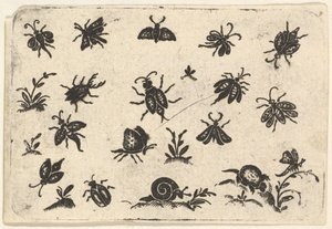 昆虫と植物の小さなモチーフ、1596年。 作： Georg Herman