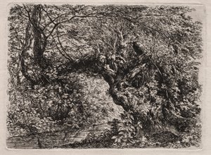 小川の古い柳 作： Georg von Dillis
