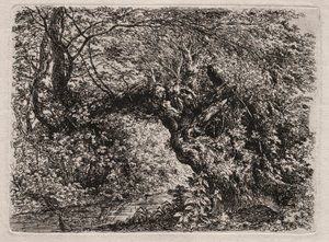 小川のほとりの古い柳」1794年 作： Georg von Dillis