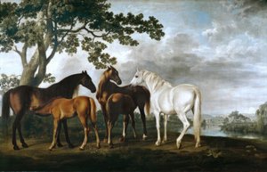 次のアーティストによるアート作品 George Stubbs