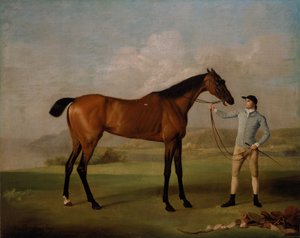 次のアーティストによるアート作品 George Stubbs