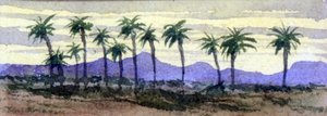 デザートパーム（水彩画 作： George Sand