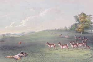 ジョージ・カトリンの北米インディアンのポートフォリオ 作： George (after) Catlin
