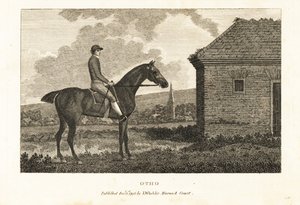 サラブレッド競走馬オトの肖像 作： George (after) Stubbs