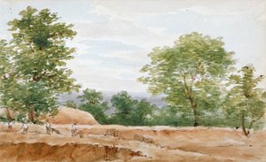 ハイゲート トンネルの発掘現場からの眺め、ロンドン、1812 年 作： George Arnald
