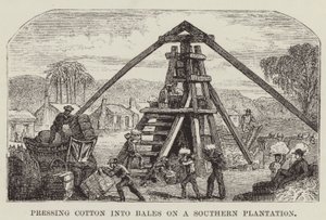 南部のプランテーションで綿をベールに押し込む 作： George Augustus Sala