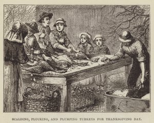 感謝祭のための七面鳥の熱傷、摘採、肉抜き 作： George Augustus Sala