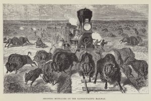 カンザス太平洋鉄道で水牛を撃つ 作： George Augustus Sala
