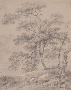 木の研究 作： George Barret