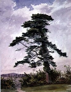 スコッチパインのある風景 作： George Bedford