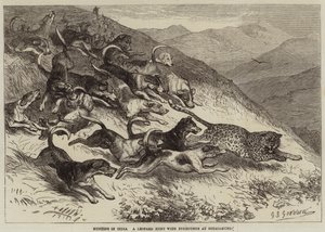 インドでの狩猟、ウータカムンドでのフォックスハウンドとのヒョウ狩り 作： George Bouverie Goddard