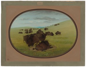 バッファローワロー 作： George Catlin
