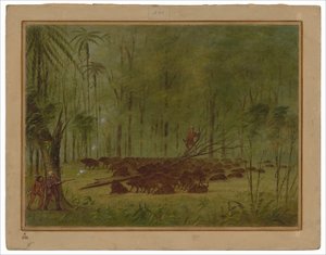 ペッカリーとの戦い - カリブ 作： George Catlin