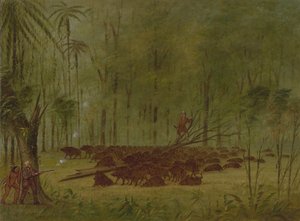 ペッカリーとの戦い - カリブ、18541869。 作： George Catlin