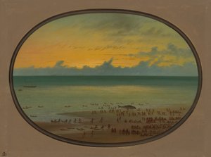 クジラの岸辺 - Klahoquat、18551869。 作： George Catlin