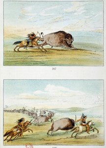 アメリカン・インディアン：バイソン狩り。イラスト：ジョージ・カトリン（1794-1872 作： George Catlin