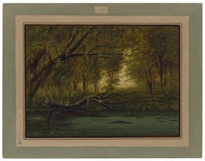  作： ジョージ・カトリン