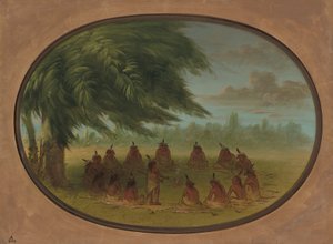 インディアン評議会 - スー、18611869。
