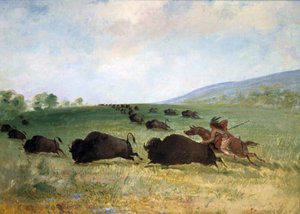 1846～1848年、バッファローを槍で突き刺すオーセージ・インディアン。 作： George Catlin