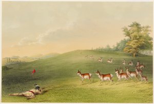  作： George Catlin