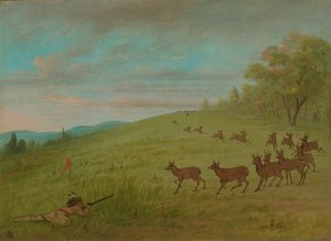 アンテロープ シューティング - アシネボイン、18611869。 作： George Catlin