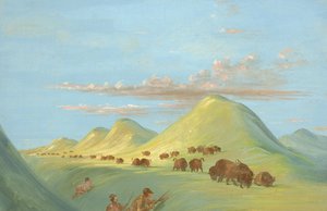 ミズーリ州でバッファローに近づくバティステ、ボガード、および私、1837～1839年。 作： George Catlin