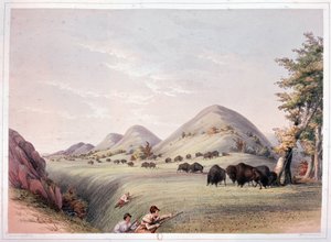 バイソン狩り 作： George Catlin