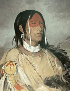 ブロークンアーム 作： George Catlin